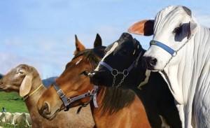 Resultado final do edital EDITAL 02/2020