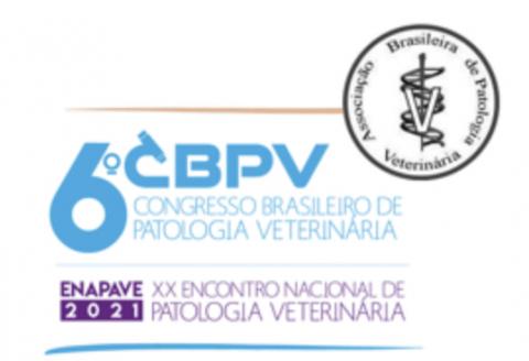 Discentes do Programa de Pós-Graduação em Medicina Veterinária se destacam no 6º Congresso Brasileiro de Patologia Veterinária