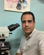Profile picture for user FRANCISCO DE ASSIS LEITE SOUZA